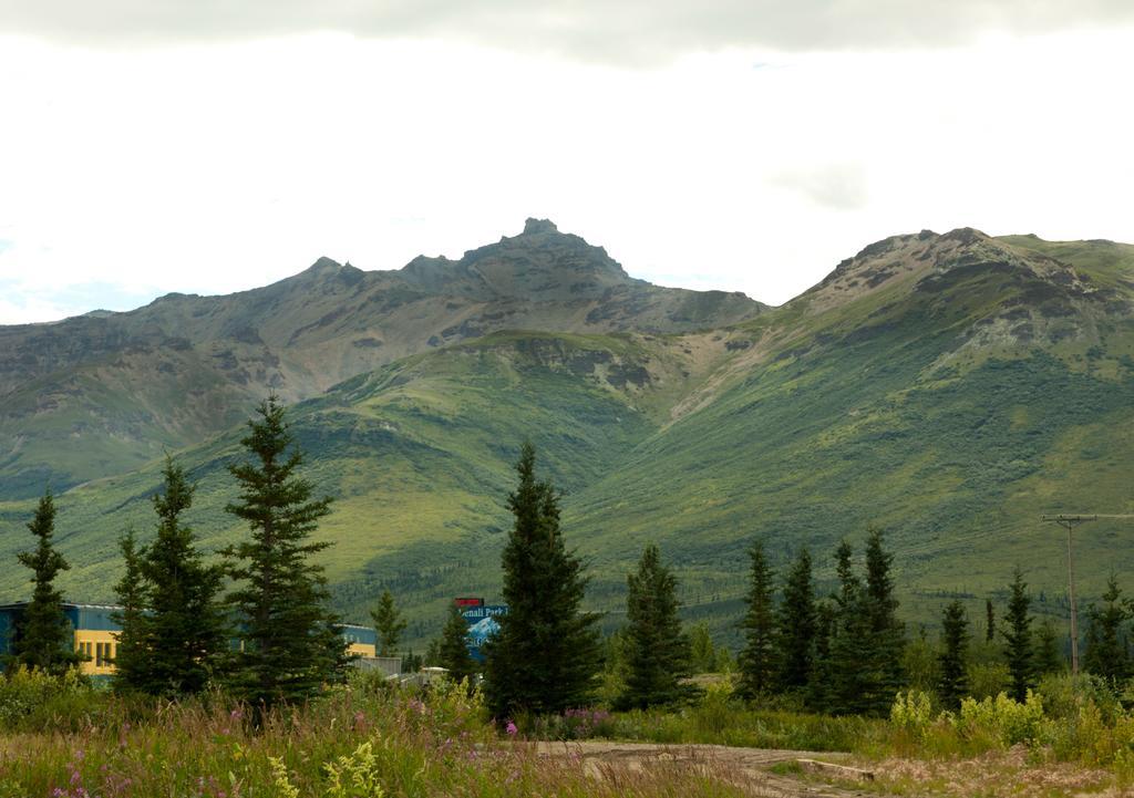 Denali Park Hotel Healy Eksteriør bilde